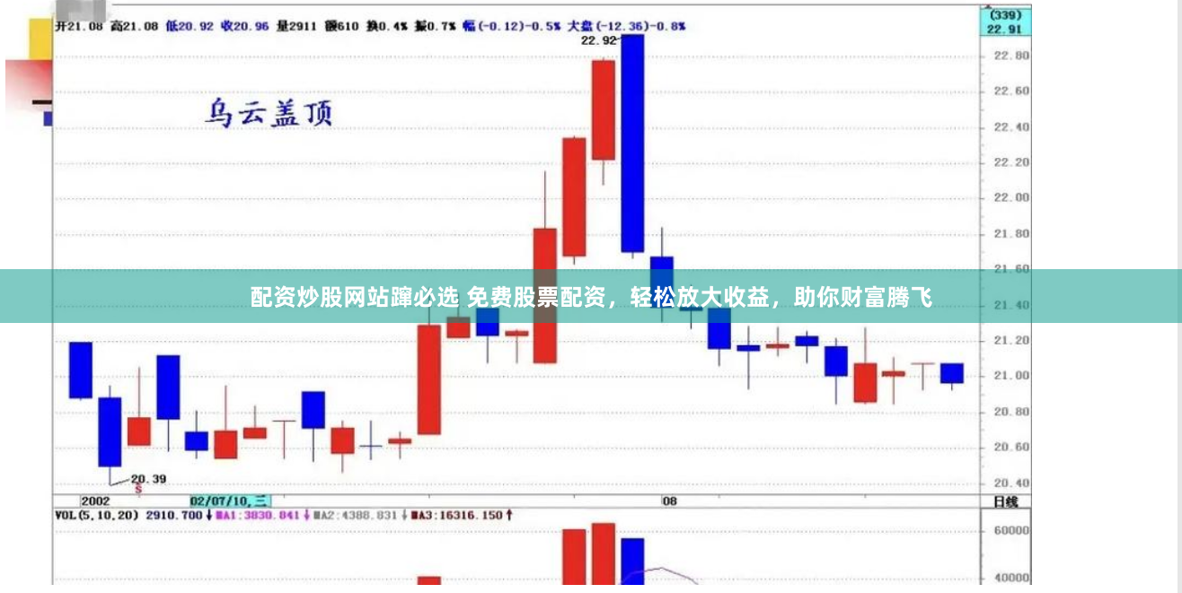 配资炒股网站蹿必选 免费股票配资，轻松放大收益，助你财富腾飞