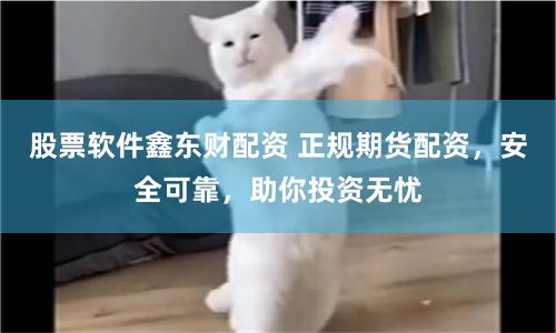 股票软件鑫东财配资 正规期货配资，安全可靠，助你投资无忧