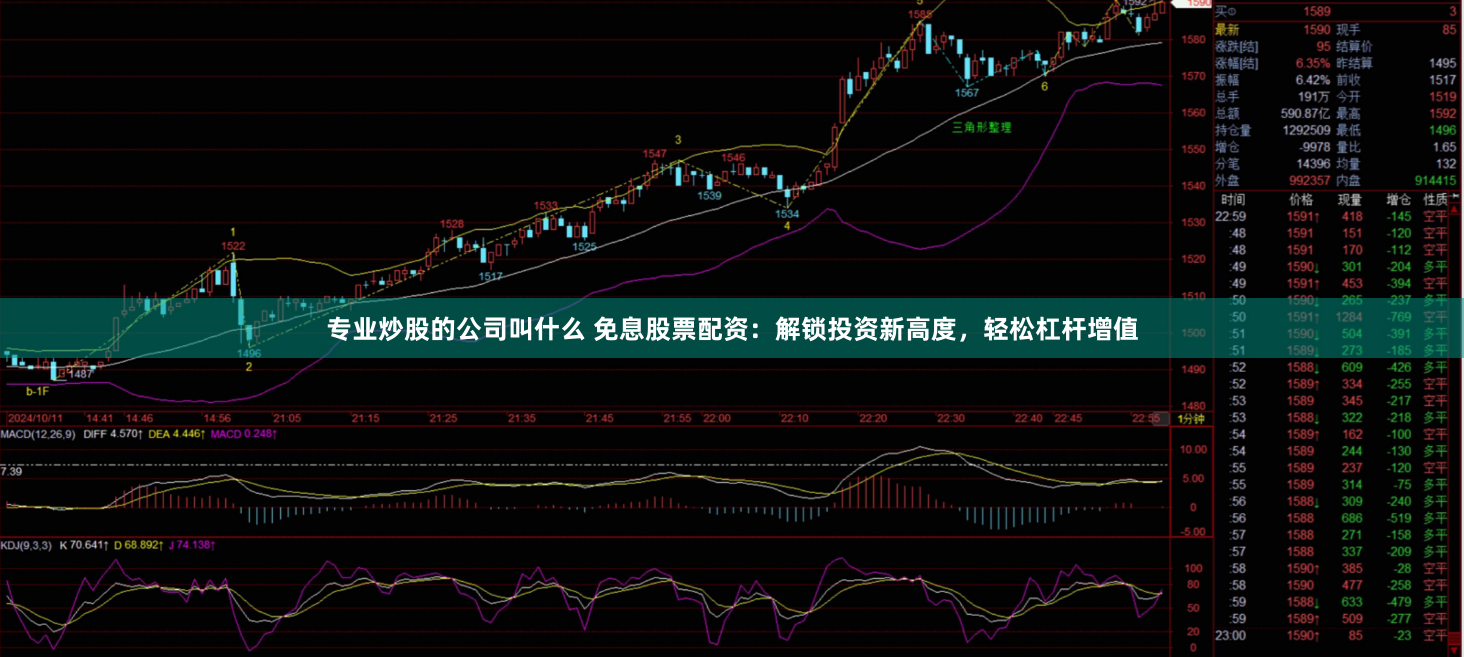 专业炒股的公司叫什么 免息股票配资：解锁投资新高度，轻松杠杆增值